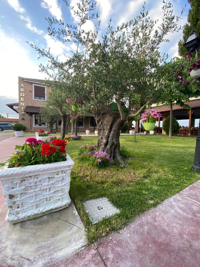Ardenica Boutique Hotel Lushnjë Zewnętrze zdjęcie