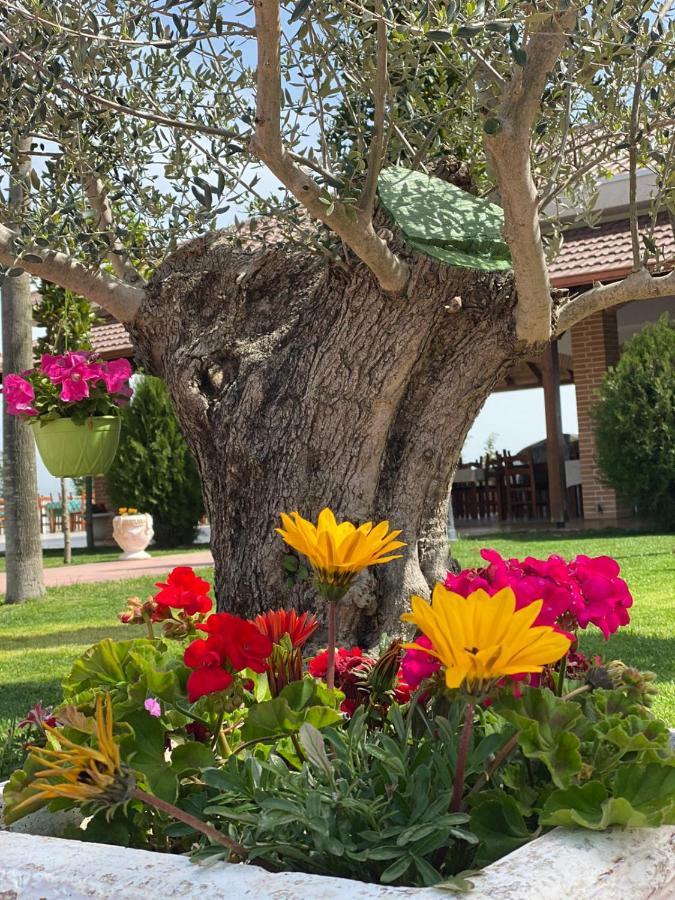 Ardenica Boutique Hotel Lushnjë Zewnętrze zdjęcie